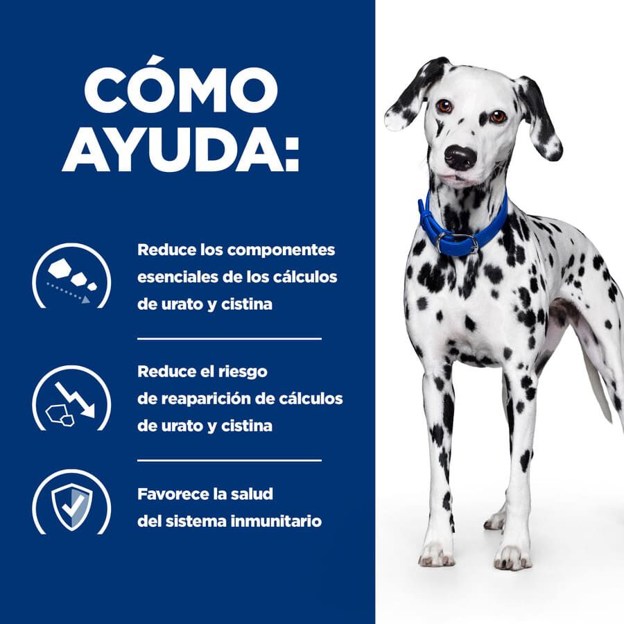 10 kg Hill's Prescription Diet Urinary Care u/d pienso para perros, , large indicador imagen numero 3
